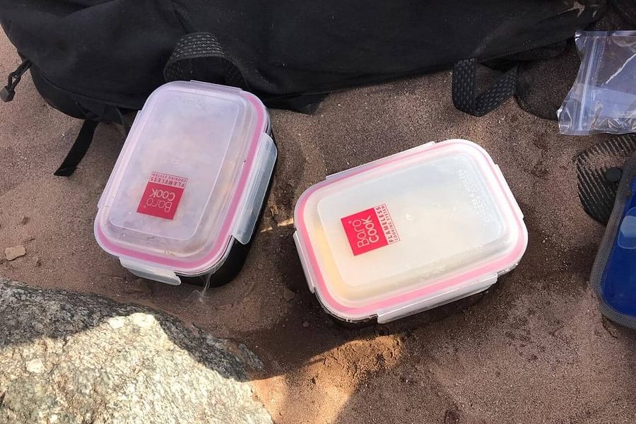 BaroCook Flameless Cooker