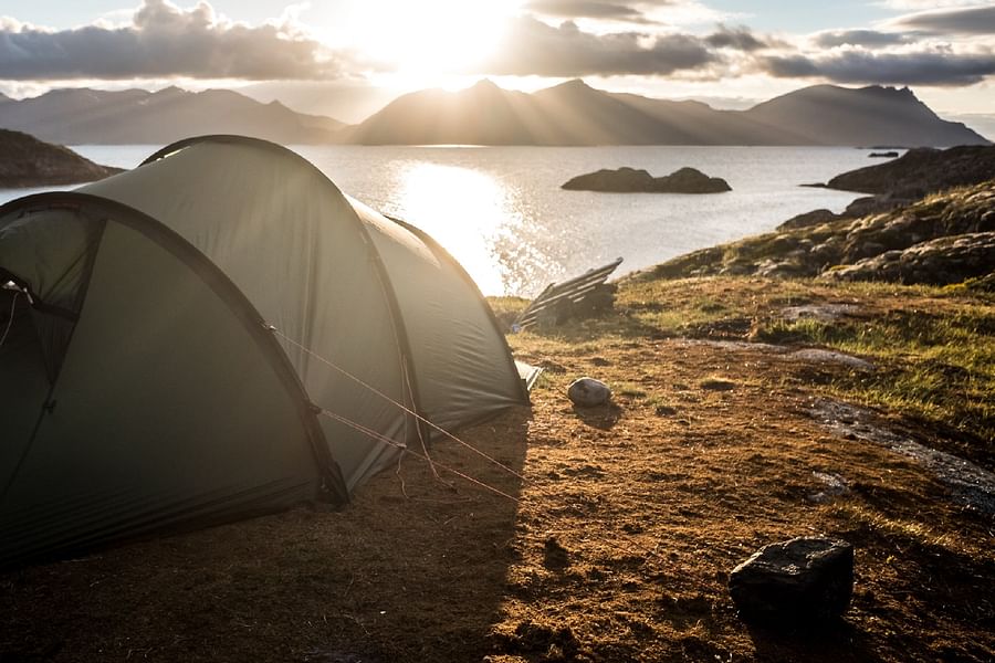 wildlife safe cooking camping