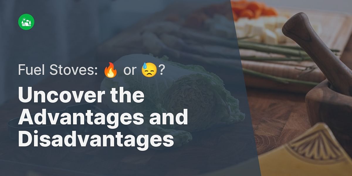 What are the pros and cons of liquid fuel camping stoves?